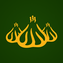 Позная, Братск APK