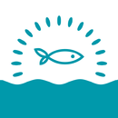 Рис и море APK