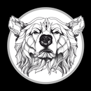 Шава Бро aplikacja