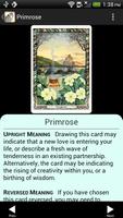 Druid Oracle Cards 截图 1