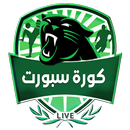 كورة سبورت - Kora Sport APK
