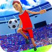 Pro Football League Soccer 3D