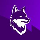ТФЛ APK