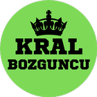 Kral Bozguncu icône