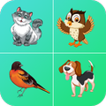40 Animal & Bird Sounds