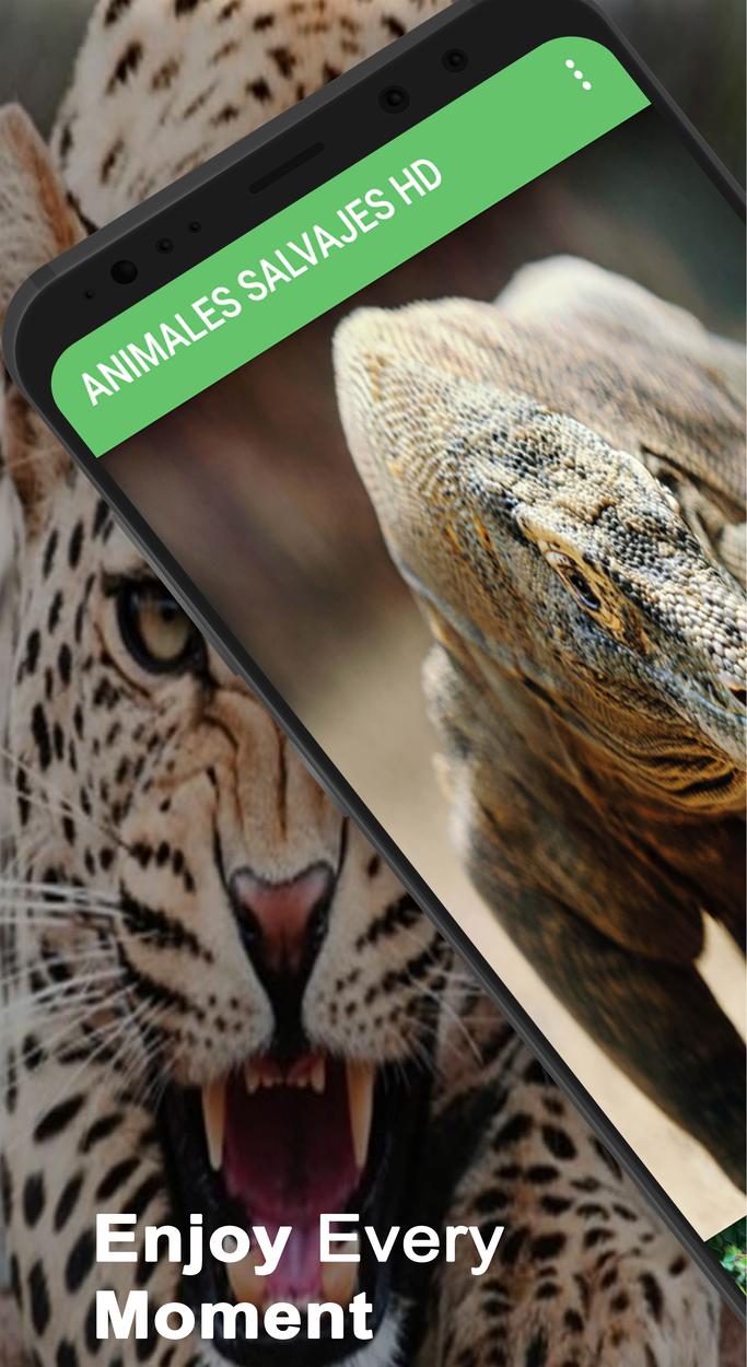 Descarga de APK de Fondos De Pantalla De Animales Salvajes para Android Descarga de APK de Fondos De Pantalla De Animales Salvajes para Android