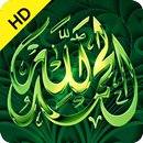 Islamic Status/DP APK