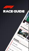 F1 Race Guide Affiche