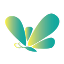 formy APK