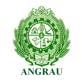 angraurbk アイコン