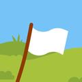 FlagsUp