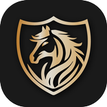 فیلترشکن فورد تند و ایمن