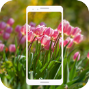 Spring Flowers Live Wallpaper APK