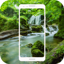 HD Forest Live Wallpaper APK