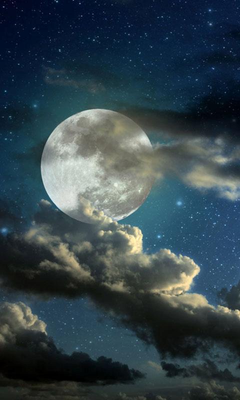 HD Mystic Night Live Wallpaper APK for Android Download HD Mystic Night Live Wallpaper APK for Android Download
