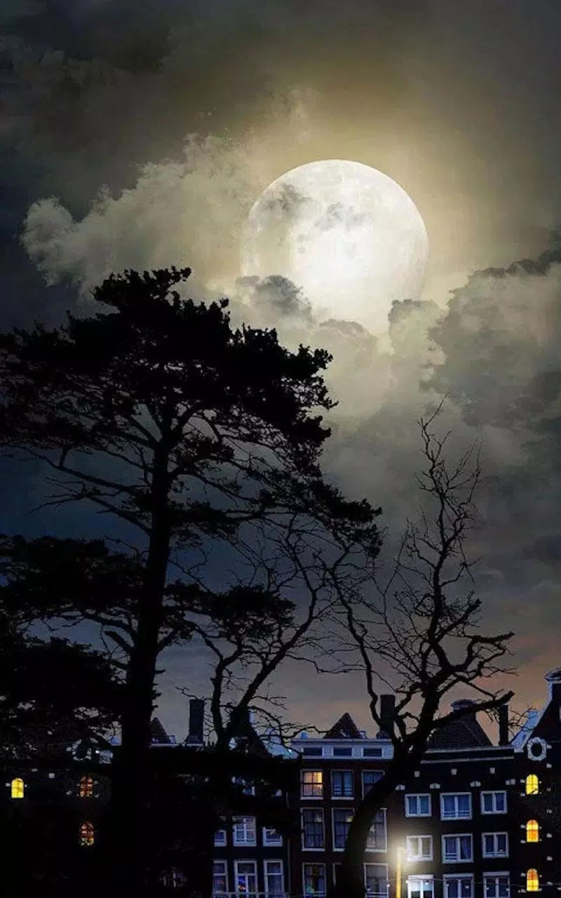 HD Mystic Night Live Wallpaper APK pour Android Télécharger HD Mystic Night Live Wallpaper APK pour Android Télécharger