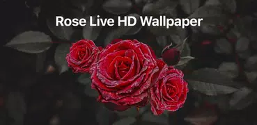 HD Rose Flowers Live Wallpaper