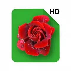 HD Rose Flowers Live Wallpaper アプリダウンロード