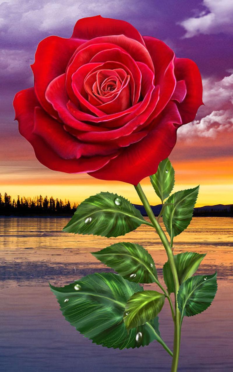 HD Rose Flowers Live Wallpaper for Android - APK Download