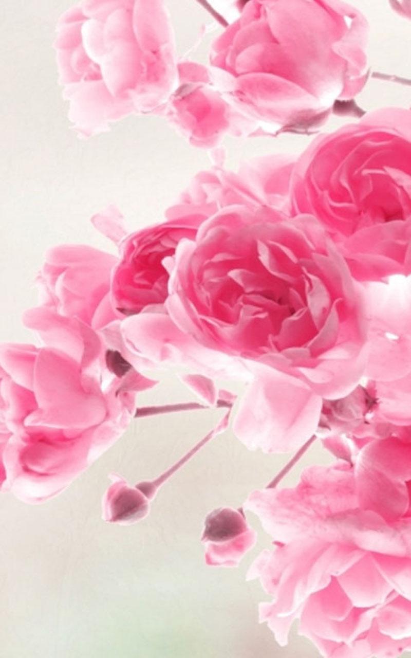 40 Gambar Wallpaper Hd Android Vintage Flowers terbaru 2020 40 Gambar Wallpaper Hd Android Vintage Flowers terbaru 2020