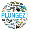 Plongez ! icono