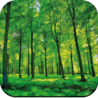 Forest Wallpaper HD ikon