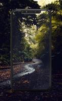 Forest Wallpaper Ekran Görüntüsü 3