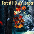 Forest HD Wallpaper 2021-JS