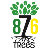 آیکون‌ 876 Trees