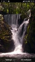 Forest Waterfall 3D capture d'écran 2