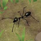 Ant Empire Simulator آئیکن