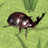 Bug Battle Simulator 圖標