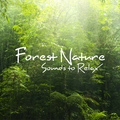 forest sounds