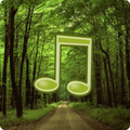 forest sounds