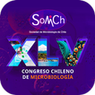 Somich 2023 图标