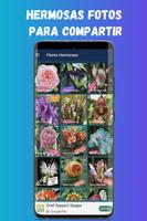 Imágenes HD para compartir ảnh chụp màn hình 2