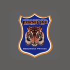 FORSEMAX-RASTREO icon