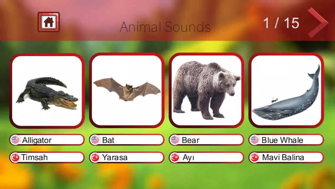 Animal Sounds APK for Android Download Animal Sounds APK for Android Download
