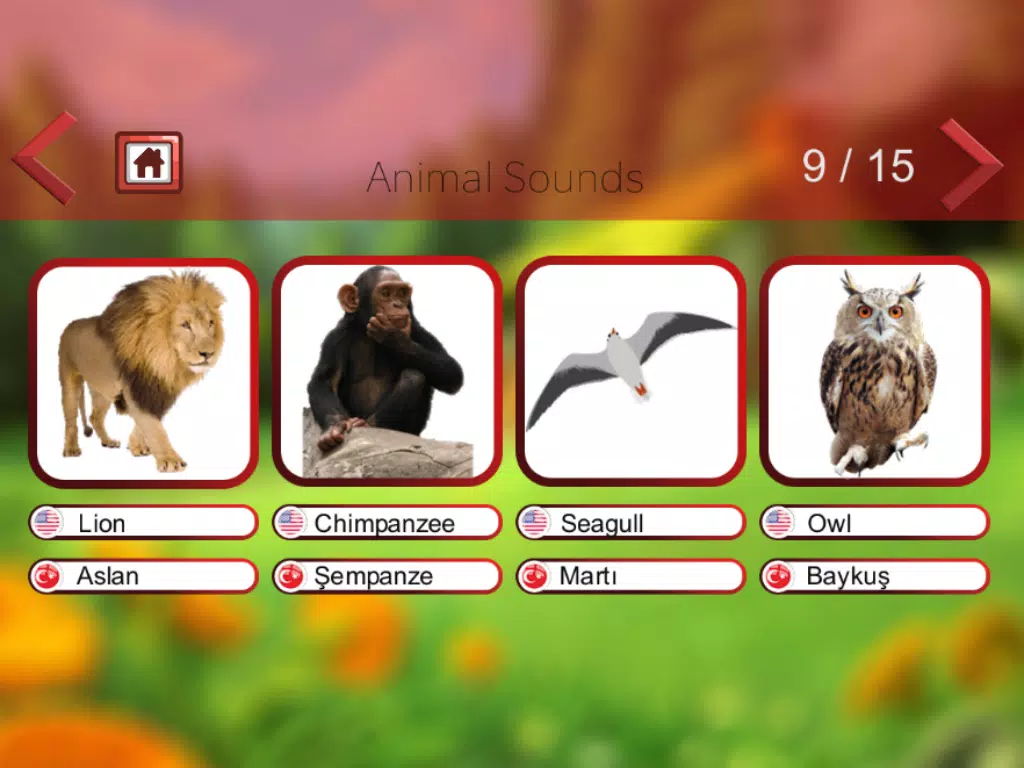 Animal Sounds APK for Android Download Animal Sounds APK for Android Download