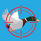 Duck Hunt: Duck Shooting Game icône