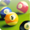 ”Pool Billiards Pro