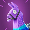 Fortnite Community