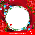 Flower Insta DP