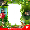 Hoopoe Insta DP APK