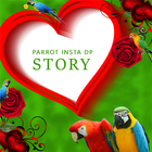 آیکون‌ Parrot Insta DP