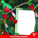 Quetzal Insta DP-APK