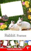 Rabbit Insta DP poster