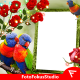 Rainbow Lorikeet Insta DP أيقونة