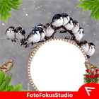 Sparrow Insta DP icon