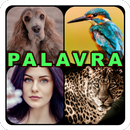 4 Pics 1 Word: Guessing Games APK